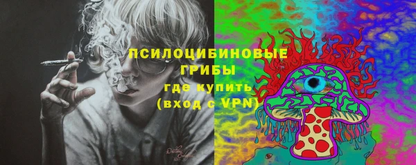 шишки Вязники