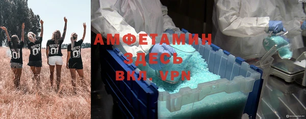 шишки Вязники